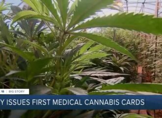 Kentucky Issues First Medical Marijuana Cards, Paving the Way for Patient Relief