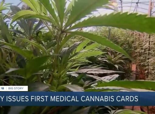 Kentucky Issues First Medical Marijuana Cards, Paving the Way for Patient Relief