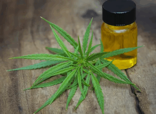 DOJ Reclassifies Medical Marijuana in ‘Historic’ Policy Shift