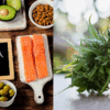 Study Finds Cannabis Oil and Omega-3s May Ease Nerve Pain