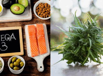 Study Finds Cannabis Oil and Omega-3s May Ease Nerve Pain