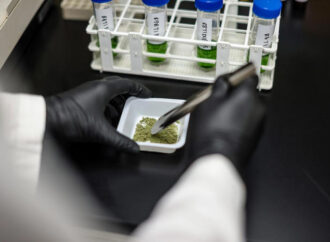 Texas Set to Expand Medical Marijuana Access as Hemp Ban Looms