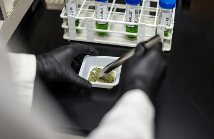 Texas Set to Expand Medical Marijuana Access as Hemp Ban Looms