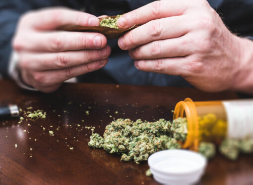 Court Backs Florida Medical Cannabis Patients’ Gun Rights