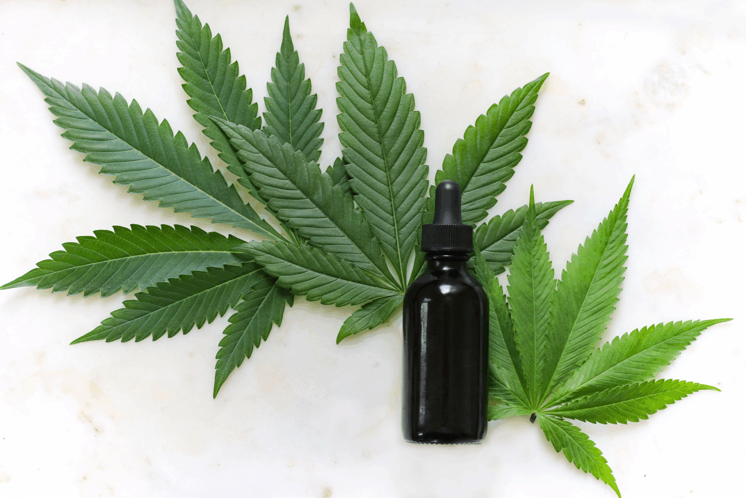 Virginia Reaches Deal to Launch Recreational Marijuana Market by 2027