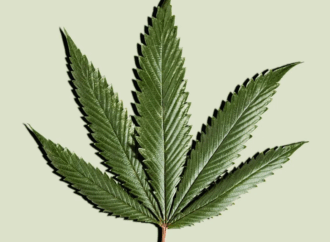 Is CBD Oil the Next Big Thing in Skincare?