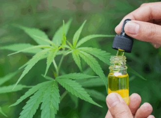 Cannabis Outshines Opioids in European Back Pain Studies