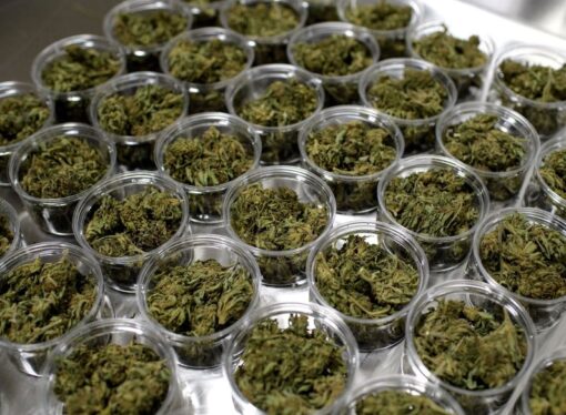 Families Fear CBD Lifeline Will Be Cut By New Federal THC Cap