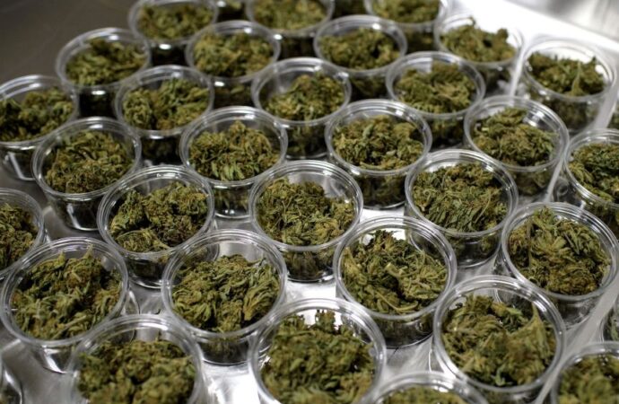 Families Fear CBD Lifeline Will Be Cut By New Federal THC Cap