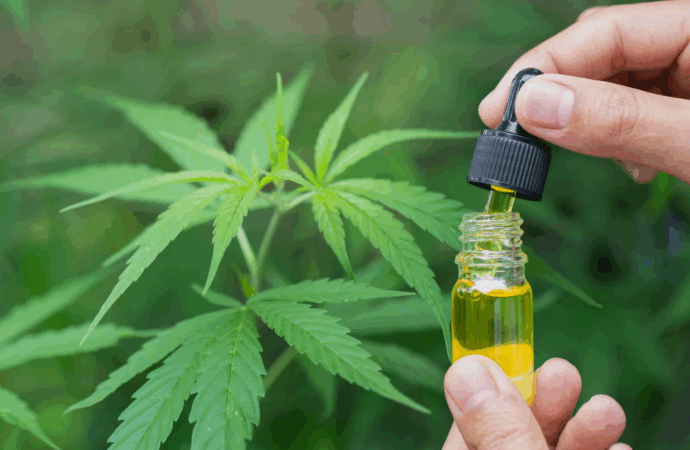 Cannabis Outshines Opioids in European Back Pain Studies