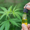 Medical Marijuana Shift Brings Big Stakes for the Midwest