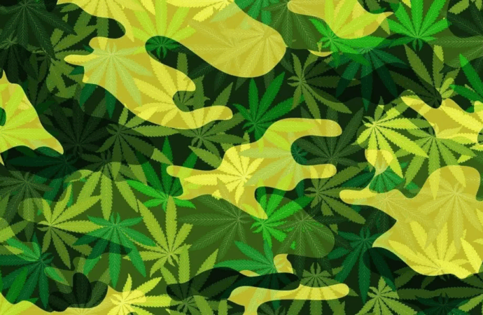 Congress Drops VA Medical Marijuana Provision Before Veterans Day