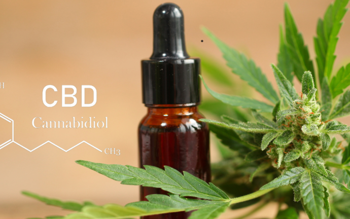 Alabama Medical Marijuana Launch Delayed Five Years, Now Set for Early May