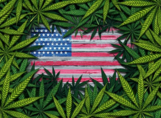 Cannabis Reform in Flux: 2026 Brings Fresh Uncertainty to U.S. Weed Laws