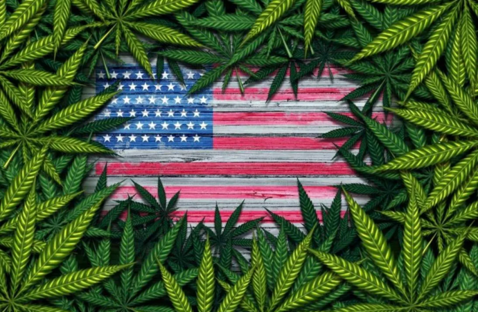 Cannabis Reform in Flux: 2026 Brings Fresh Uncertainty to U.S. Weed Laws