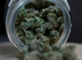 The Ongoing Divide Over Medical Cannabis: Science vs. Lived Experience