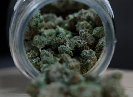The Ongoing Divide Over Medical Cannabis: Science vs. Lived Experience