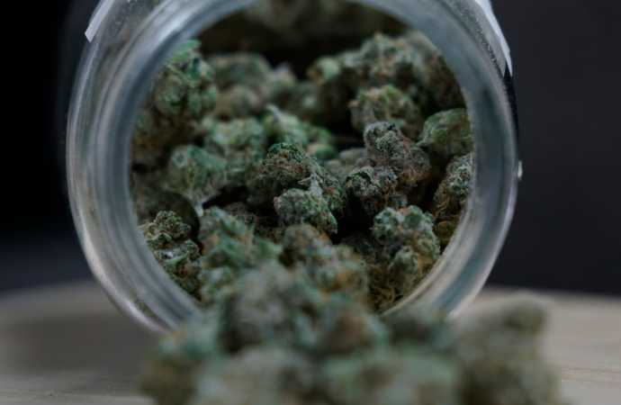 The Ongoing Divide Over Medical Cannabis: Science vs. Lived Experience