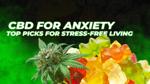 Calm in a Bottle? CBD Products Touted for Anxiety Relief