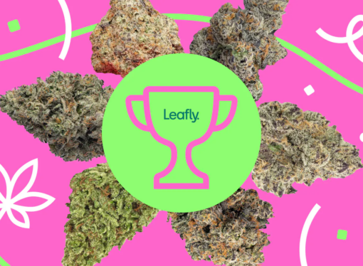 Spring 2026 Cannabis: Terps Turn Up the Heat