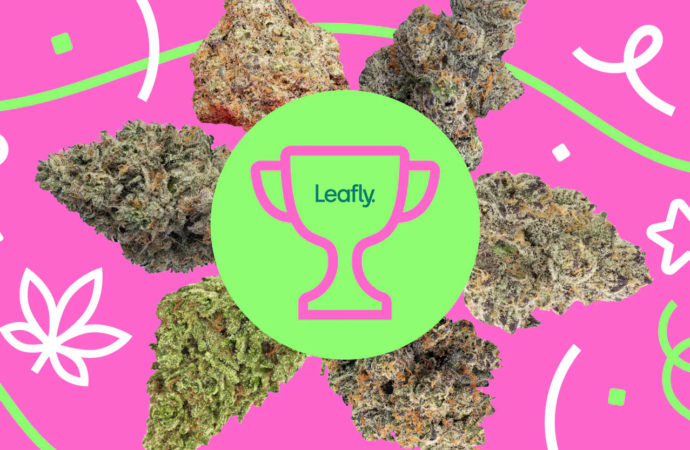 Spring 2026 Cannabis: Terps Turn Up the Heat