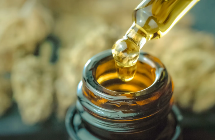 Full-Spectrum Cannabis Oil Shows Promise for Fatty Liver Disease in Animal Study