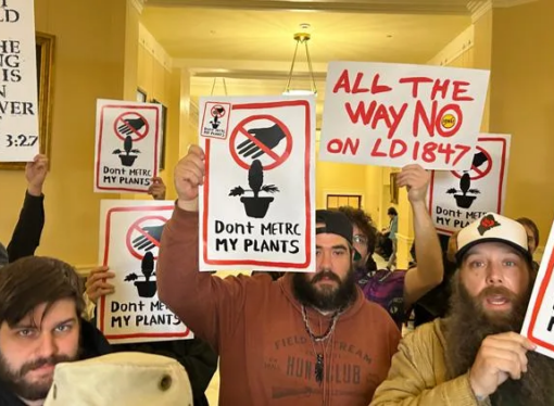 House Rejects Medical Marijuana Testing Bill, Leaving Future Oversight in Limbo