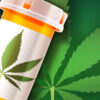Bohacek Drafts 2027 Bill To Legalize Medical Marijuana In Indiana