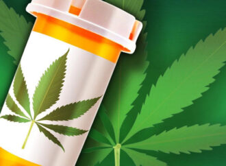 Bohacek Drafts 2027 Bill To Legalize Medical Marijuana In Indiana