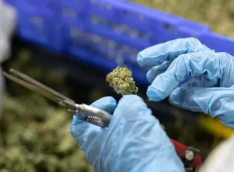 Reclassifying Medical Marijuana Is Only a First Step